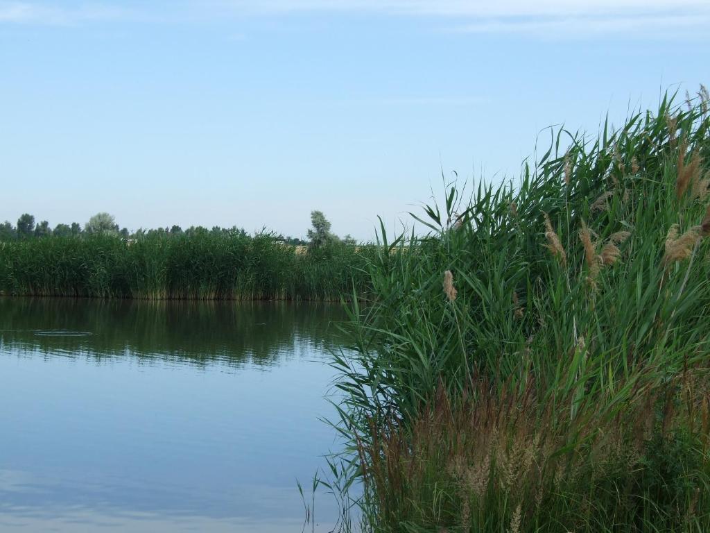 Ferienhaeuser Aura Sankt Andra am Zicksee Exterior photo